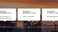 发展历程