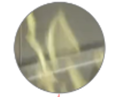 2.1.png