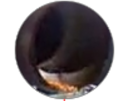 5.1.png